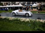 Bugatti Veyron 16.4 Grand Sport Roadster 2008 года